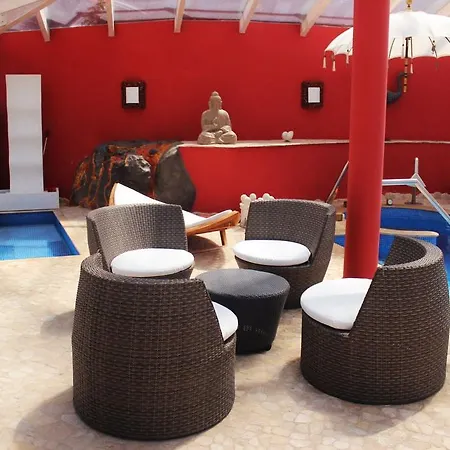 Paloma Montimar * Chio (Tenerife)